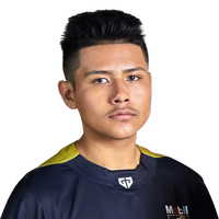 Player profile photo for Rocket League player Pollo