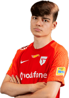 Player profile photo for Rocket League player VKSailen